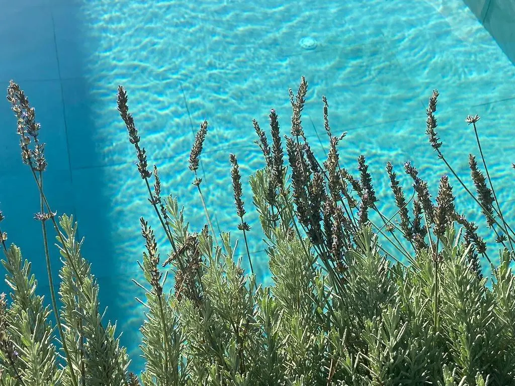 Rosemarine Villas Durres Albania